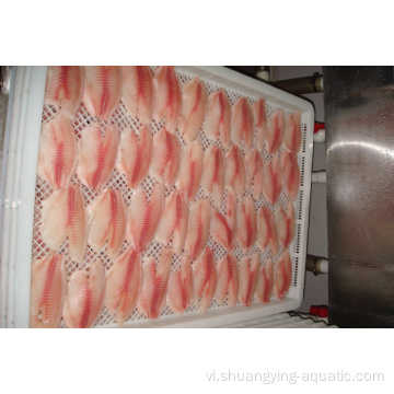 Haccp Deep Skin Tilapia Fillet với CO được xử lý